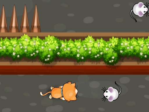 Cat Trap Labyrinth Escape_img